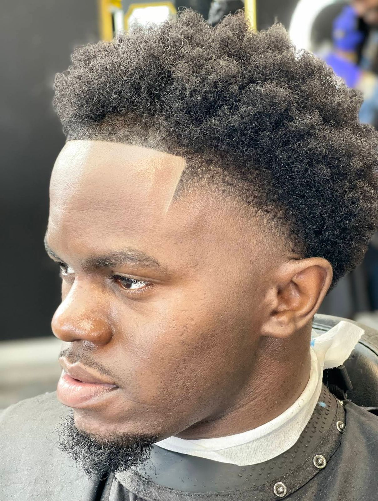 Profil — coupe nette